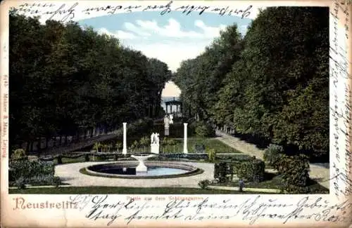 Ak Neustrelitz in Mecklenburg, Partie aus dem Schlossgarten