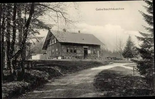 Ak Ilmenau Thüringen, Blick auf das Gabelbachhäuschen mit Weg