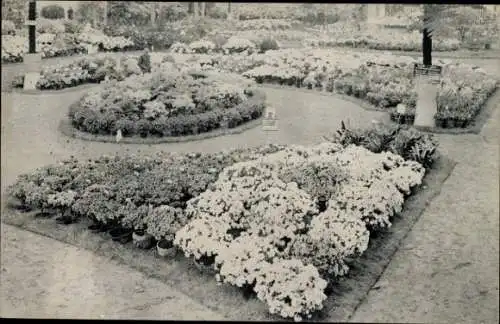 Ak Gent Gent Ostflandern, Weltausstellung 1913, Sommerblumen