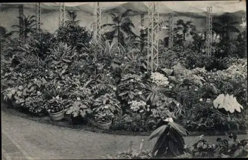Ak Gent Gent Ostflandern, Weltausstellung 1913, Sommerblumen