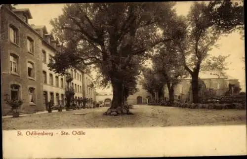 Ak Obernai Elsass Bas Rhin, Odilienberg Mont Sainte Odile, Allee