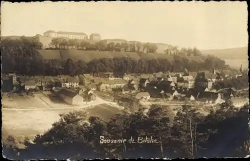 Ak Bitche Bitsch Lothringen Moselle, Panorama