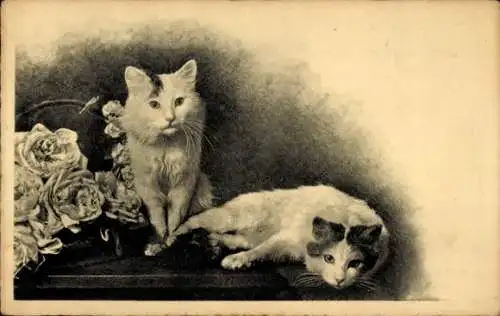 Ak Zwei Katzen, sitzend und liegend, Tierportrait
