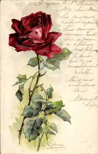 Präge Künstler Litho Klein, Catharina, Einzelne rote Rosenblüte