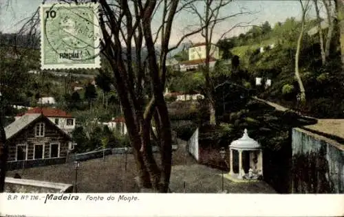 Ak Insel Madeira Portugal, Fonte do Monte, Ortspartie, Baum