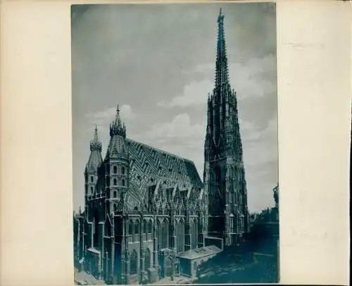 Foto 1904, Wien, Stephansdom und Votivkirche