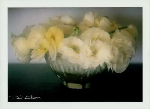 Ak Fotograf David Hamilton, Bouquets, Blumen in Schale