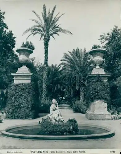 Foto Palermo Sicilia, Orto Botanico, Viale delle Palme, um 1900