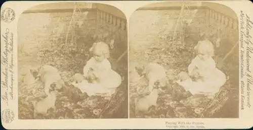 Stereo Foto Mädchen spielt mit Hundewelpen