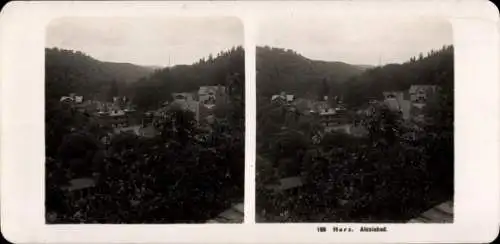 Stereo Foto Alexisbad Harzgerode am Harz, Totalansicht