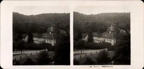 Stereo Foto Mägdesprung Harzgerode am Harz, Teilansicht