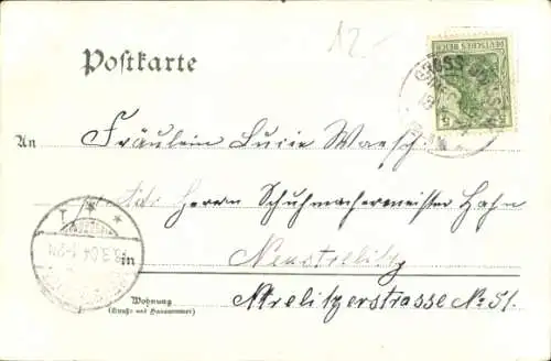 Ak Neustrelitz in Mecklenburg, Marktplatz