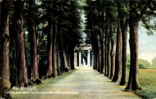 Ak Neustrelitz in Mecklenburg, Schlossgarten, Tempelallee