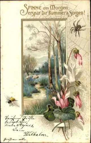 Litho Spinne am Morgen, erspar Dir Kummer und Sorgen, Biene, Blumen