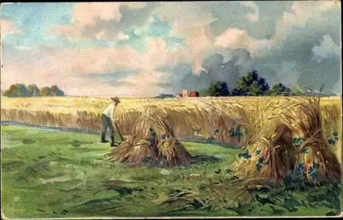 Ak Landwirtschaft, Heuernte, Bauer, Getreide