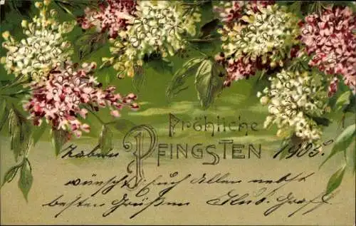 Präge Litho Glückwunsch Pfingsten, Blühender Baum