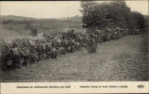 AK-Infanterie im Hinterhalt hinter einer Hecke