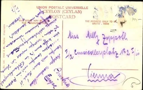Ak Ceylon Sri Lanka, Tamil Girl