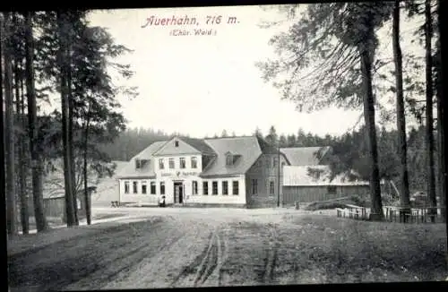 Ak Ilmenau in Thüringen, Gasthof Auerhahn