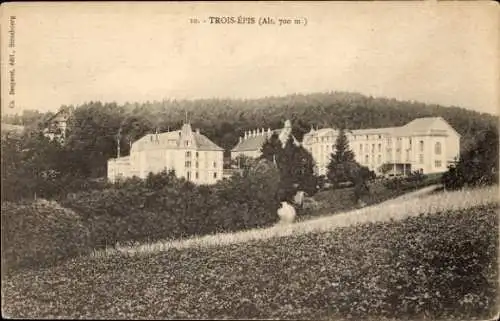 Ak Trois Épis Drei Ähren Elsass Haut Rhin, Teilansicht