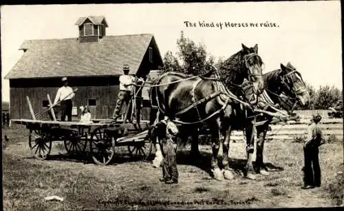 Ak Montreal Quebec Canada, Pferde mit Fuhrwerk auf dem Hof