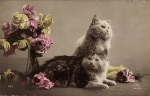 Ak Zwei Katzen, liegend und sitzend, Blumenvase, Rosen