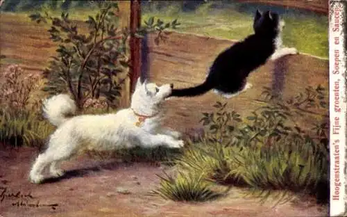 Künstler Ak Hund packt Katze am Schwanz, Reklame W. Hoogenstraaten & Co.