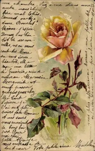 Präge Künstler Ak Klein, Catharina, gelbe Rose