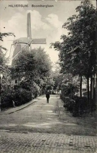 Ak Hilversum Nordholland Niederlande, Boomberglaan