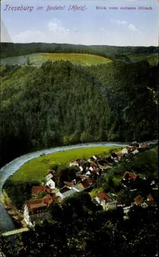 Ak Treseburg Thale im Harz, Teilansicht, Blick vom weißen Hirsch