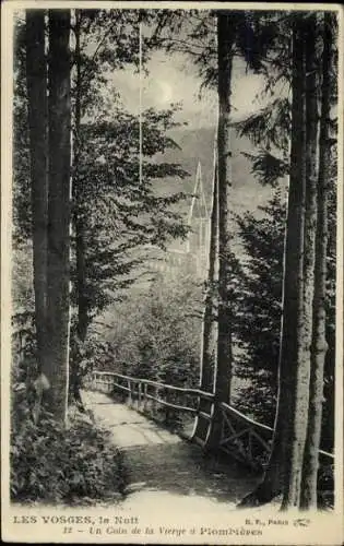 Ak Plombières les Bains Lothringen Vogesen, Partie im Wald bei Nacht