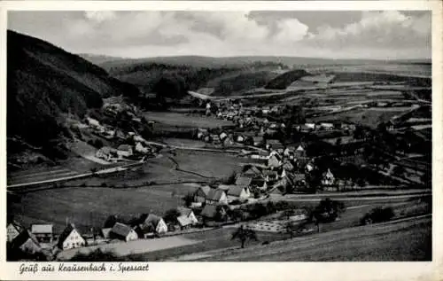 Ak Krausenbach Dammbach im Spessart, Panorama