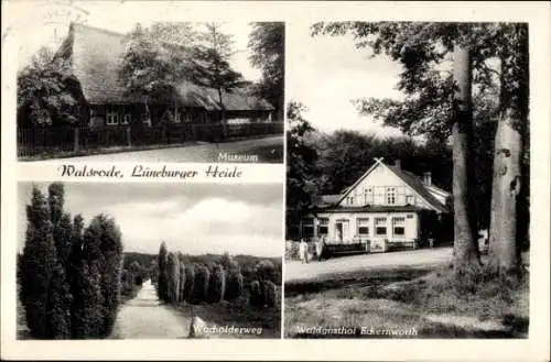 Ak Walsrode in der Lüneburger Heide, Museum, Wacholderweg, Waldgasthof Eckernworth