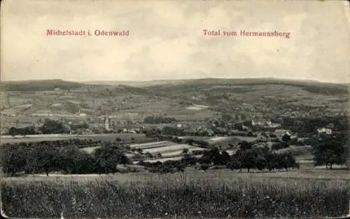 Ak Michelstadt im Odenwald, Totalansicht, Blick vom Hermannsberg