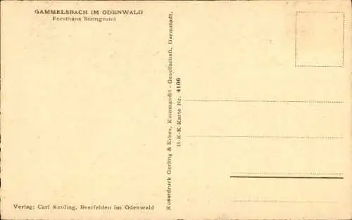 Künstler Ak Gammelsbach Oberzent im Odenwald, Forsthaus Steingrund