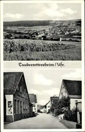 Ak Tauberrettersheim in Unterfranken, Panorama, Straßenansicht