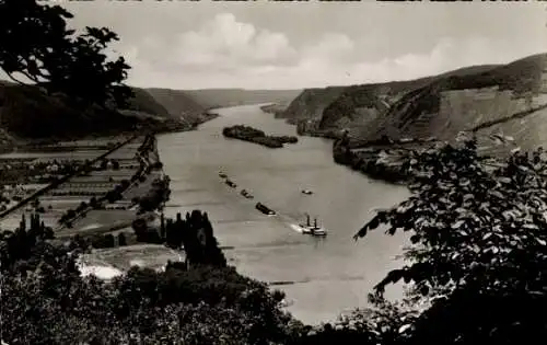 Ak Andernach am Rhein, Blick rheinabwärts