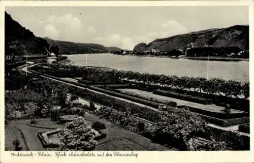 Ak Andernach am Rhein, Blick rheinabwärts, Rheinanlage