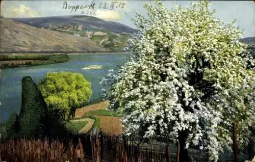 Ak Boppard am Rhein, Panorama