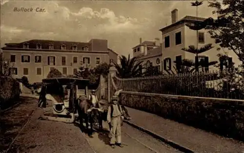 Ak Funchal Insel Madeira Portugal, Carro de bois, Männer mit Ochsenschlitten