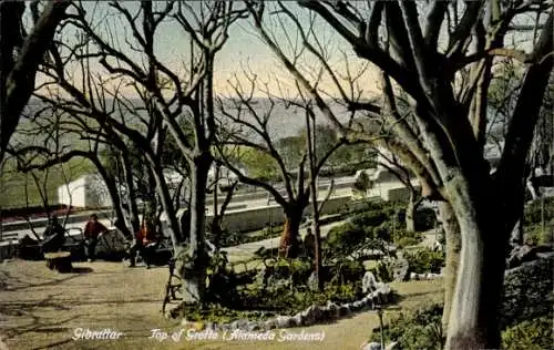 Ak Gibraltar, Spitze der Grotte, Alameda Gardens, Botanischer Garten