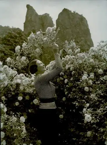 Foto Paul Wolff, Frau mit Rosenbusch