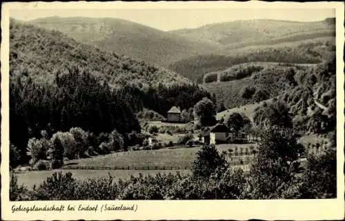 Ak Endorf Sundern Sauerland, Gebirgslandschaft, Häuser