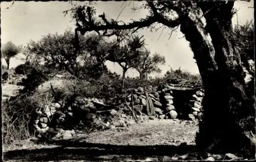 Ak Djibouti Dschibuti, Campement des nomades, Lager von Nomaden, Steinhütte