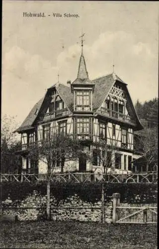 Ak Le Hohwald Elsass Bas Rhin, Villa Schoop