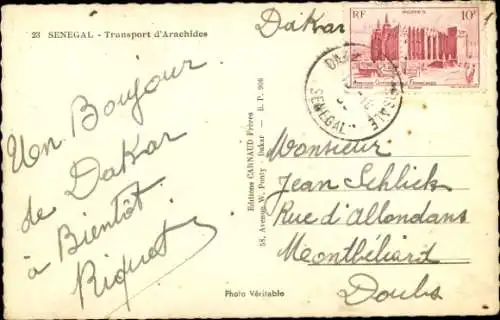 Ak Senegal, Transport d'Arachides, Erdnusstransport per Kamel