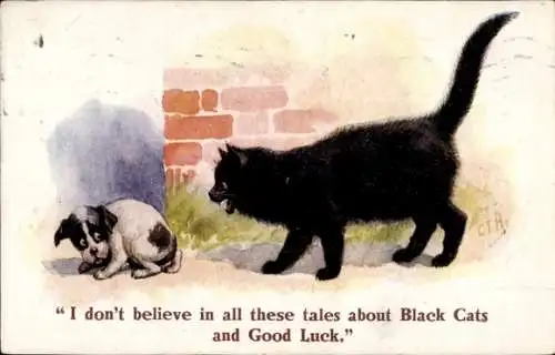 Künstler Ak Schwarze Katze bedroht kleinen Hund