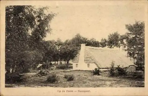 Ak Nunspeet Gelderland, Op de Zoom