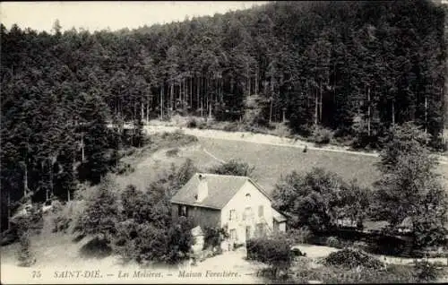 Ak Saint Dié des Vosges, Les Molieres, Maison Forestiere