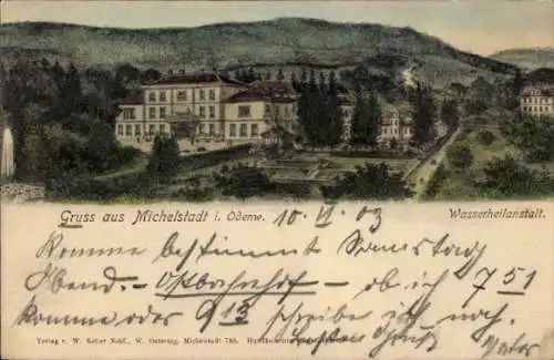 Ak Michelstadt im Odenwald, Wasserheilanstalt